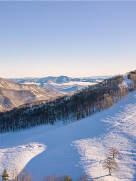 Cataloochee Ski Area Live Webcam, Snow Reports, Trail Maps