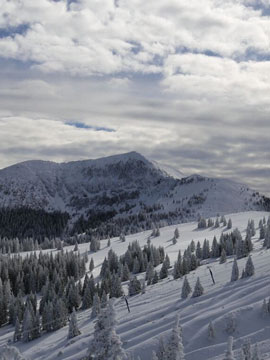 Ski Apache Resort Live Webcam, Snow Reports, Trail Maps
